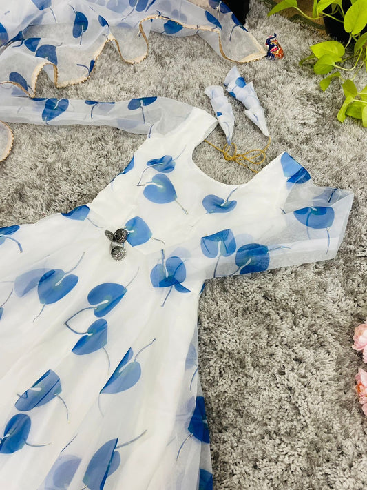 Organza Taby Silk Gown with Dupatta